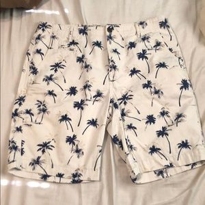 Arizona Jean palm tree shorts size 34